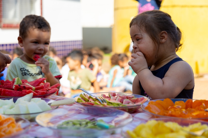 Noticia feira-ao-ar-livre-promove-aprendizado-ludico-sobre-alimentacao-saudavel-no-cei